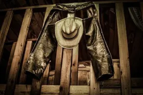 Longhorn Cabin (adults-only) - Image 5