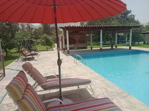 Villa Elvira - Image 4