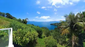 Sea View House (Private) - Image 4