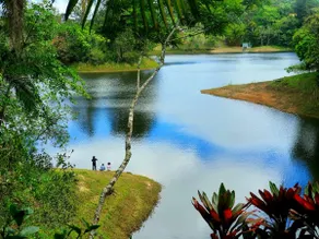 House in nature - Image 2