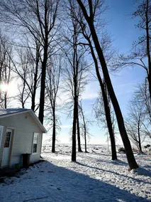 Woodland cabin on the Bay - Image 3