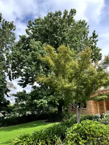 Studio At the Back of Mount Taylor - Image 5