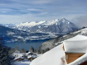 @swissmountainview quiet, sunny, lake+mountainview - Image 2