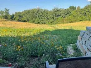 Cozy cabin on 93 acres - Image 2