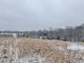 Cozy cabin on 93 acres - Image 4