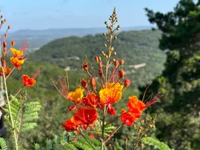 Amy's Hilltop Guesthouse | Views, Pets & Pool - Image 2