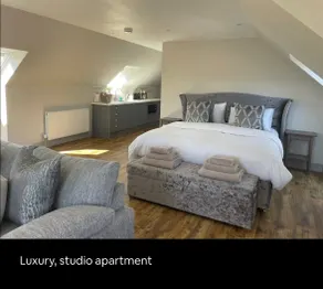 Brand New Luxe Studio Apartment - Image 2
