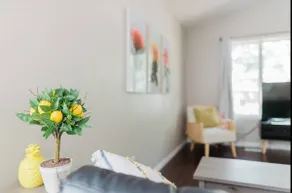 3 Bedroom | Central Location | 2 Bath | Quiet Str - Image 4