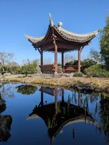 High Point Guesthouse -Near Seattle Chinese Garden - Image 5
