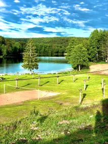The marmots - Image 5