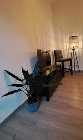 Waldstadt-Apartments - Image 2