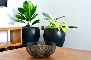 Makao Salama - Stay in style, stay with us - Image 4