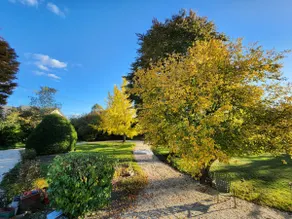 Mansion - Les Marizys - Image 2