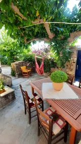 Bougainvillea - Image 3