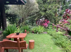 Canyon Woods - Image 5