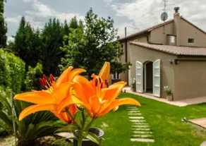 Betta Hus i Vinci - Toscana - Image 4