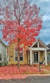 Beautiful Mud Island Home - Minutes From Downtown! - Image 2