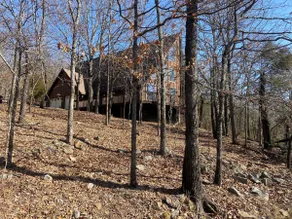 The Treehouse - Image 2
