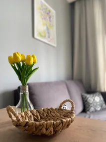 Sunny apartment. - Image 4