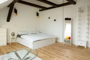 Modern City Apartment - Image 3