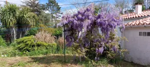 Nice quiet Vendée house - Image 2