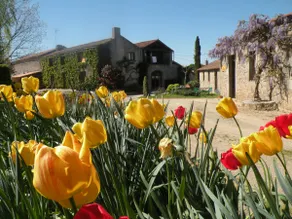 Rooms & Farm stays - Image 3