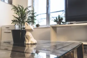 Scandinavian apartment 💫 near Cathedral - Image 5