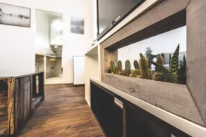 Scandinavian apartment 💫 near Cathedral - Image 4