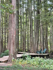 Lake Bistineau Getaway! - Image 2