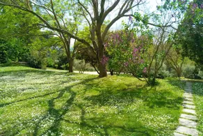 Mas La Magnanerie, cottage at the foot of the Luberon - Image 4