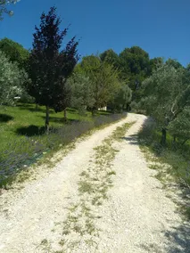 Mas La Magnanerie, cottage at the foot of the Luberon - Image 3