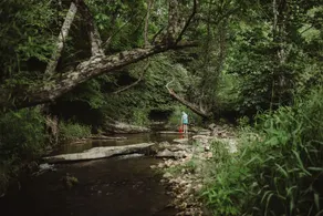 10 Private Acres • Creek • Fireflies • Near Sparta - Image 2