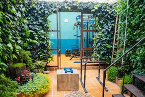 Casa Ivy - Luxury , Comfort & Nature Near Airport - Image 2