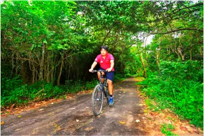 Subic Rain Forest House with Private Beach Access - Image 4