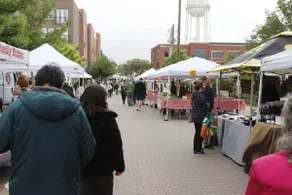 McKinney Farmers market Home - Image 2