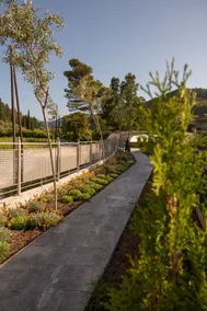 The olivetree Villa - Image 4