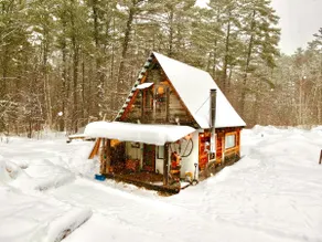 The Cub Cabin - Image 4