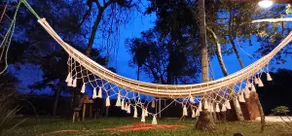 Lucila's Forest - Image 4