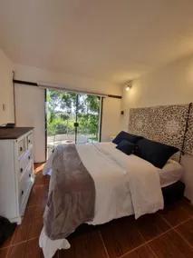 Lucila's Forest - Image 5