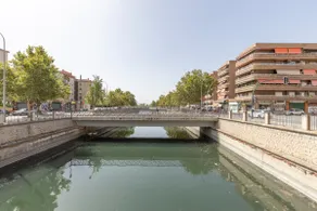 Neptuno Deluxe - Image 5