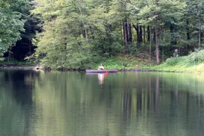 Cottage Suite on the Lake - Image 5