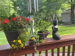 NEW appliances! Midcentury Modern Garden Unit - Image 5