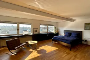 Design loft in the old leather factory in Trier - Image 2