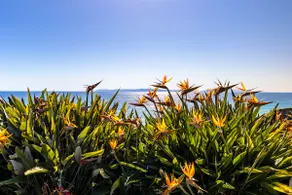 Oceanfront-2730 sqft w/SPA, HugeDeck+Garden+VIEWS - Image 2