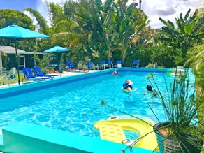 Secluded tropical oasis with a large deep pool - Image 5