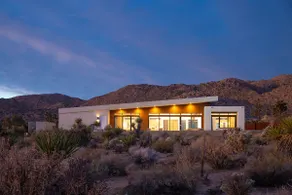 The Lele, Joshua Tree - Image 2