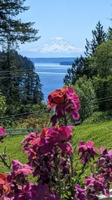 Family Getaway Rainier View Walk to Marina Shore - Image 5
