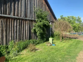 Ferienwohnung Waldköhlerei - Image 2