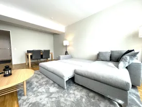 Large & central: Old Town apartment - Image 4