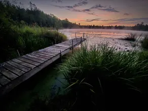 Peaceful Retreat on Lake Ann - Image 2